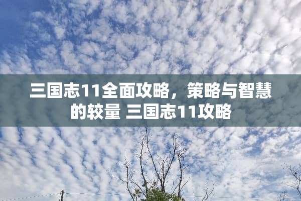三国志11全面攻略，策略与智慧的较量 三国志11攻略