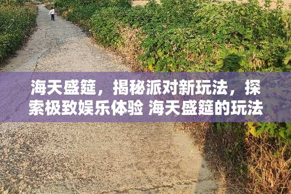 海天盛筵，揭秘派对新玩法，探索极致娱乐体验 海天盛筵的玩法解释