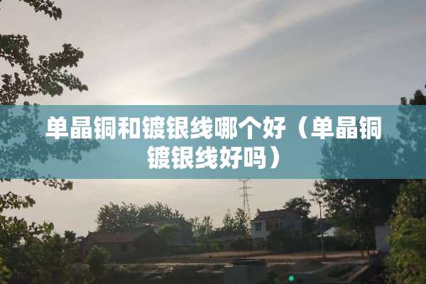单晶铜和镀银线哪个好（单晶铜镀银线好吗）