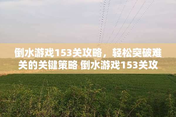 倒水游戏153关攻略，轻松突破难关的关键策略 倒水游戏153关攻略