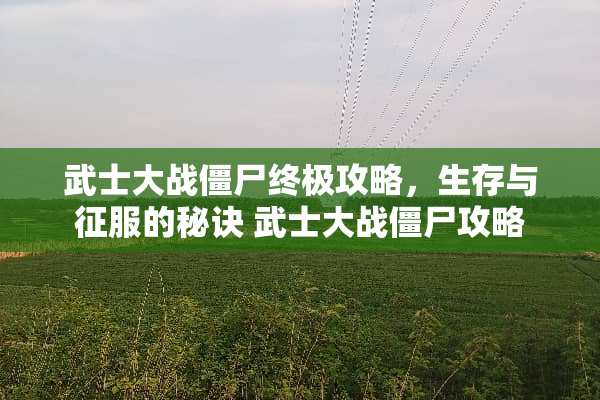 武士大战僵尸终极攻略，生存与征服的秘诀 武士大战僵尸攻略