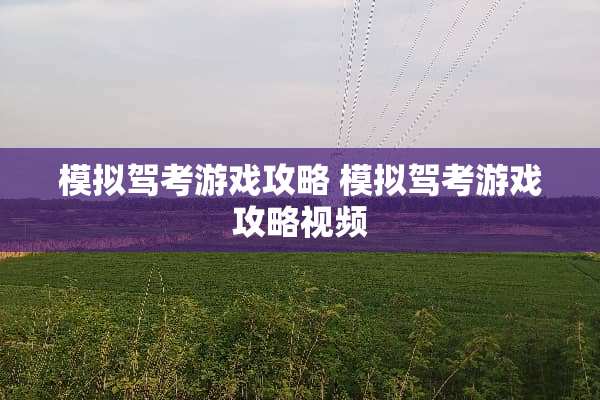 模拟驾考游戏攻略 模拟驾考游戏攻略视频