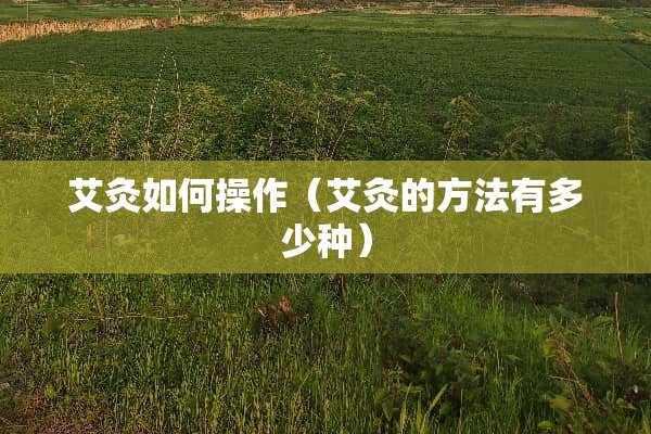 艾灸如何操作（艾灸的方法有多少种）