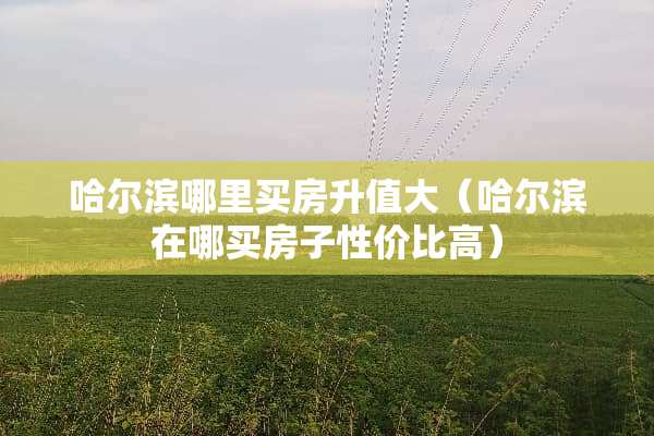 哈尔滨哪里买房升值大（哈尔滨在哪买房子性价比高）