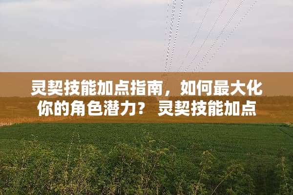 灵契技能加点指南，如何最大化你的角色潜力？ 灵契技能加点