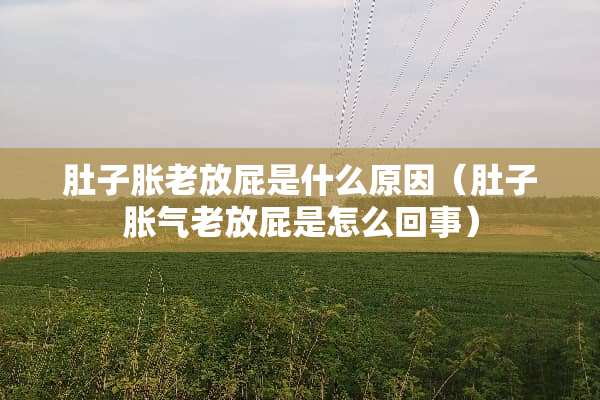 肚子胀老放屁是什么原因（肚子胀气老放屁是怎么回事）