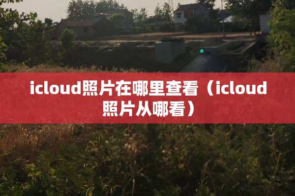 icloud照片在哪里查看（icloud照片从哪看）