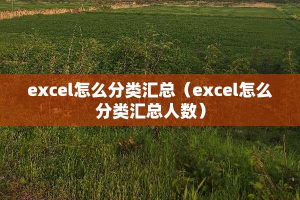 excel怎么分类汇总（excel怎么分类汇总人数）