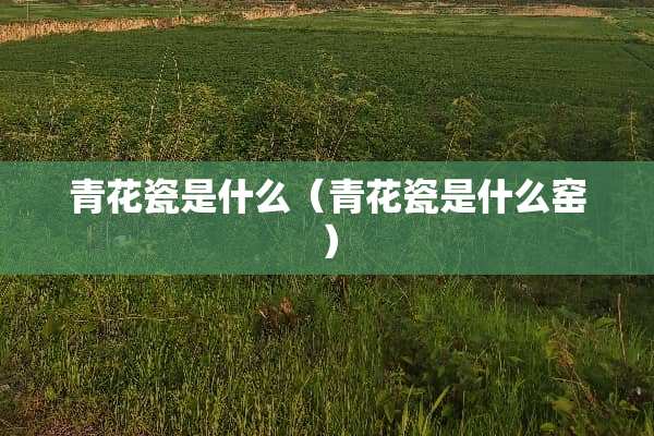 青花瓷是什么（青花瓷是什么窑）