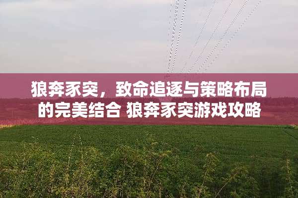 狼奔豕突，致命追逐与策略布局的完美结合 狼奔豕突游戏攻略