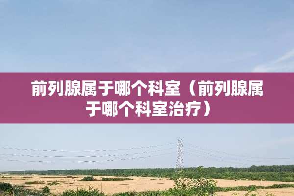 前列腺属于哪个科室（前列腺属于哪个科室治疗）