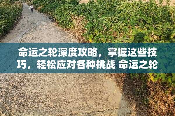 命运之轮深度攻略，掌握这些技巧，轻松应对各种挑战 命运之**略