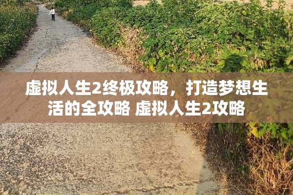 虚拟人生2终极攻略，打造梦想生活的全攻略 虚拟人生2攻略