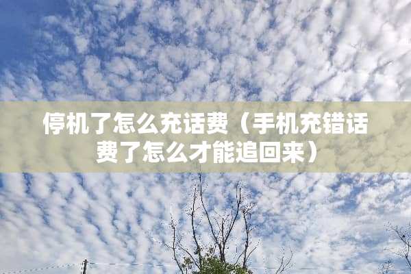 停机了怎么充话费（手机充错话费了怎么才能追回来）