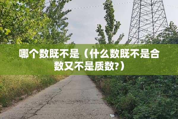 哪个数既不是（什么数既不是合数又不是质数?）