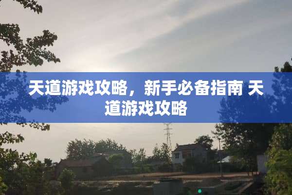 天道游戏攻略，新手必备指南 天道游戏攻略