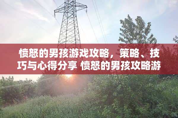 愤怒的男孩游戏攻略，策略、技巧与心得分享 愤怒的男孩攻略游戏