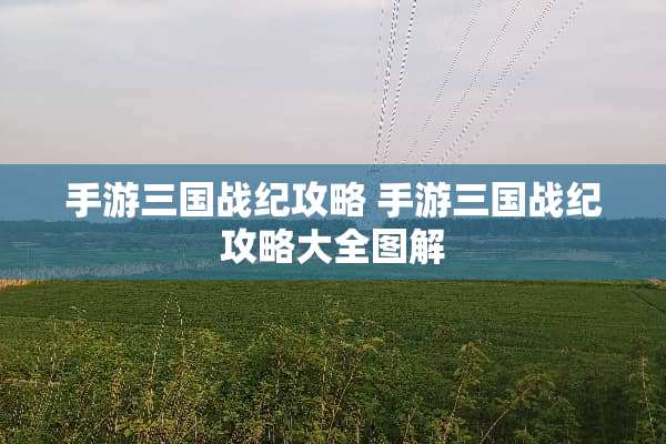 手游三国战纪攻略 手游三国战纪攻略大全图解