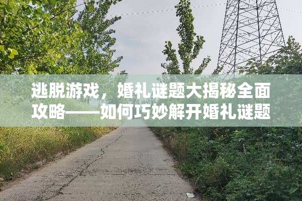 逃脱游戏，婚礼谜题大揭秘全面攻略——如何巧妙解开婚礼谜题，顺利逃生？ 逃脱游戏婚礼攻略