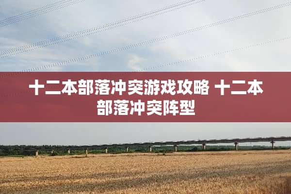 十二本部落冲突游戏攻略 十二本部落冲突阵型