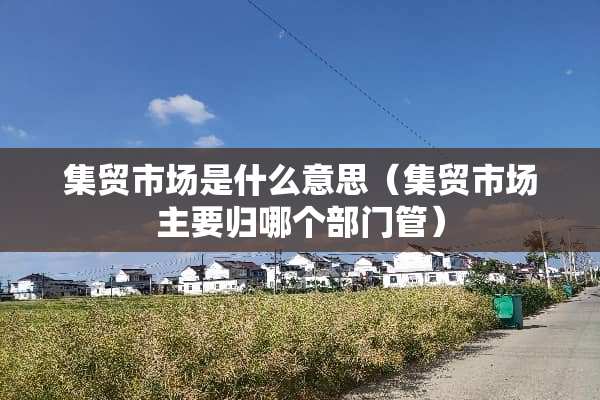 集贸市场是什么意思（集贸市场主要归哪个部门管）