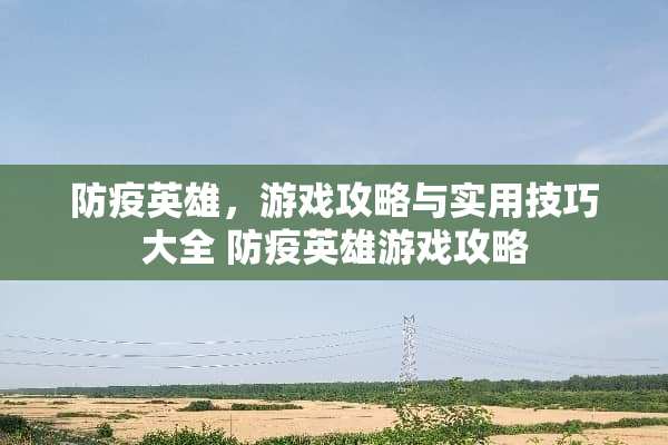 防疫英雄，游戏攻略与实用技巧大全 防疫英雄游戏攻略