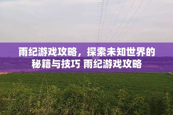 雨纪游戏攻略，探索未知世界的秘籍与技巧 雨纪游戏攻略