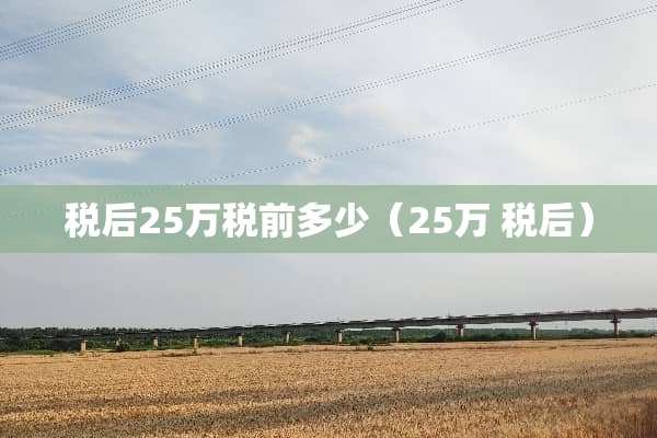 税后25万税前多少（25万 税后）