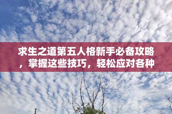 求生之道第五人格新手必备攻略，掌握这些技巧，轻松应对各种局面 第五人格求生者攻略