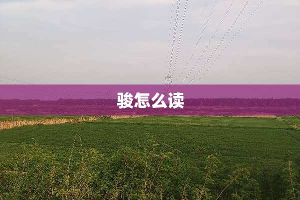 骏怎么读