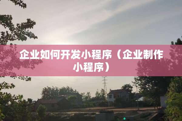企业如何开发小程序（企业制作小程序）