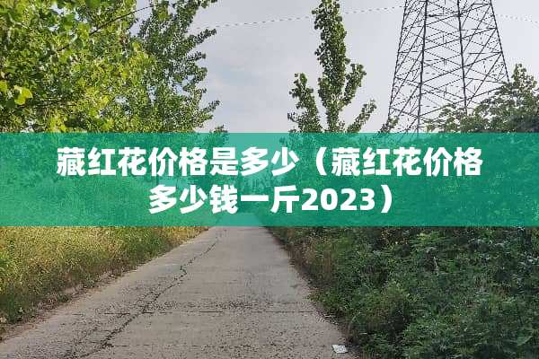 藏红花价格是多少（藏红花价格多少钱一斤2023）