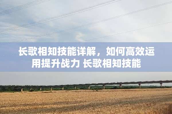 长歌相知技能详解，如何高效运用提升战力 长歌相知技能