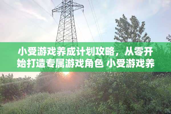小受游戏养成计划攻略，从零开始打造专属游戏角色 小受游戏养成计划攻略
