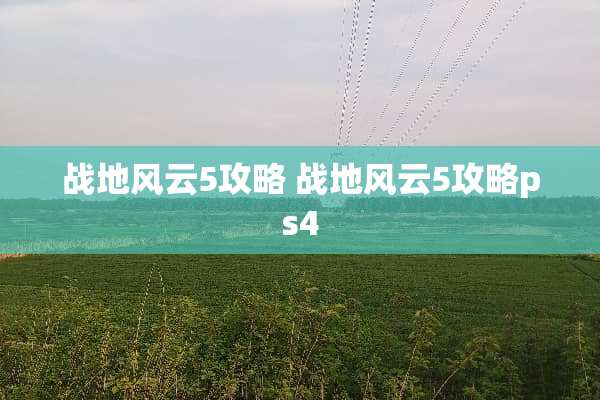 战地风云5攻略 战地风云5攻略ps4