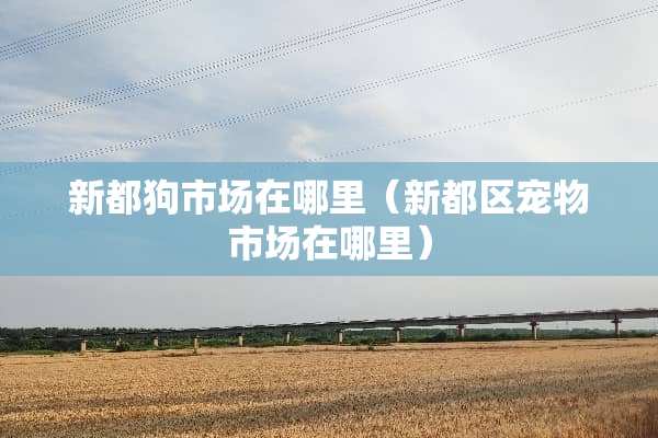 新都狗市场在哪里（新都区宠物市场在哪里）