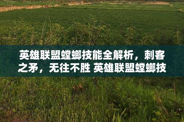 英雄联盟螳螂技能全解析，刺客之矛，无往不胜 英雄联盟螳螂技能介绍