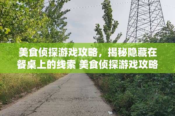 美食侦探游戏攻略，揭秘隐藏在餐桌上的线索 美食侦探游戏攻略