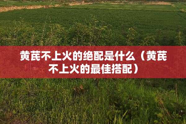 黄芪不上火的绝配是什么（黄芪不上火的最佳搭配）