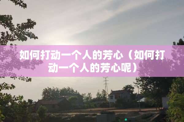 如何打动一个人的芳心（如何打动一个人的芳心呢）
