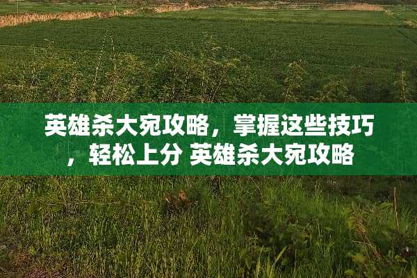 英雄杀大宛攻略，掌握这些技巧，轻松上分 英雄杀大宛攻略