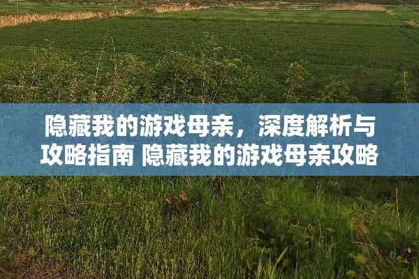 隐藏我的游戏母亲，深度解析与攻略指南 隐藏我的游戏母亲攻略
