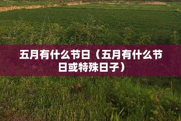 五月有什么节日（五月有什么节日或特殊日子）
