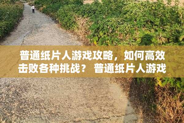 普通纸片人游戏攻略，如何高效击败各种挑战？ 普通纸片人游戏攻略