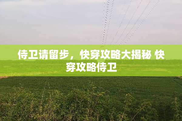 侍卫请留步，快穿攻略大揭秘 快穿攻略侍卫