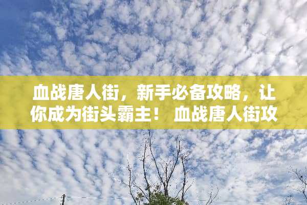 血战唐人街，新手必备攻略，让你成为街头霸主！ 血战唐人街攻略