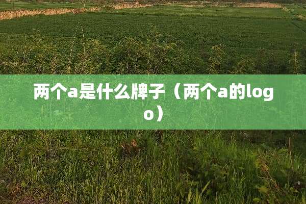 两个a是什么牌子（两个a的logo）