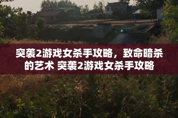 突袭2游戏女**攻略，致命**的艺术 突袭2游戏女**攻略