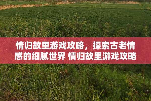 情归故里游戏攻略，探索古老情感的细腻世界 情归故里游戏攻略