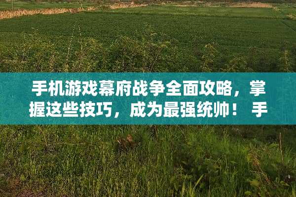 手机游戏幕府战争全面攻略，掌握这些技巧，成为最强统帅！ 手机游戏幕府战争攻略